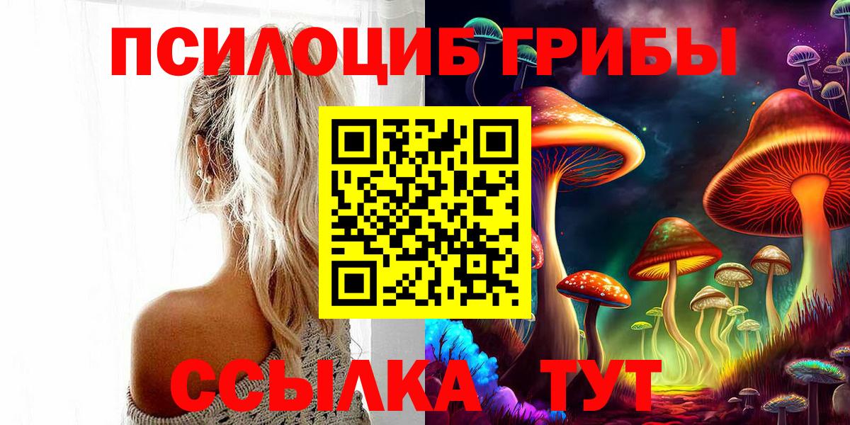Псилоцибиновые грибы Psilocybe Кашира