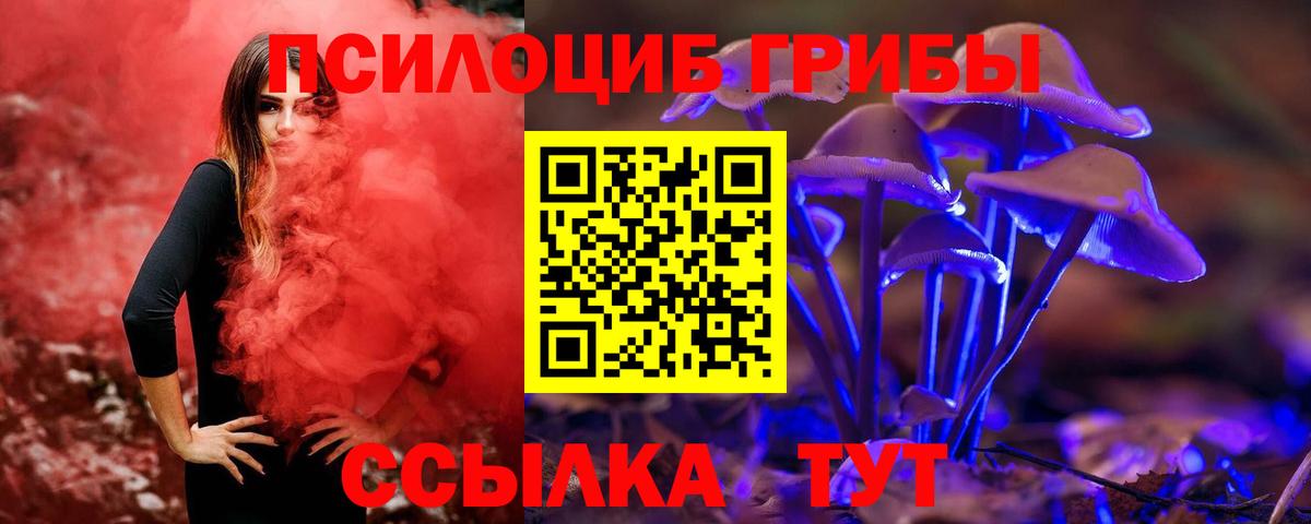 Кашира  Псилоцибиновые грибы Magic Shrooms  Вход с VPN 